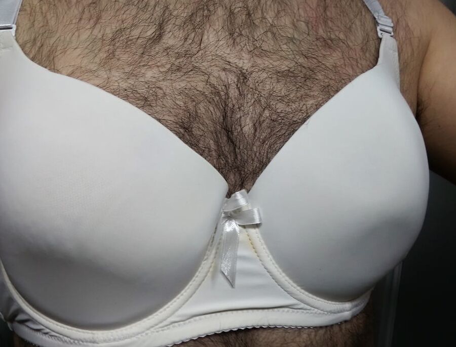 sister bras