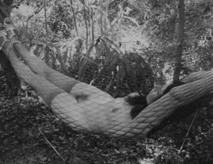 Vintage porn photos from to