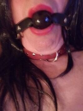 BDSM Collection
