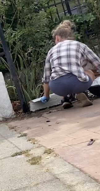 Random BBW and Pawg Asses Young and Mature Thick Milf Gilf