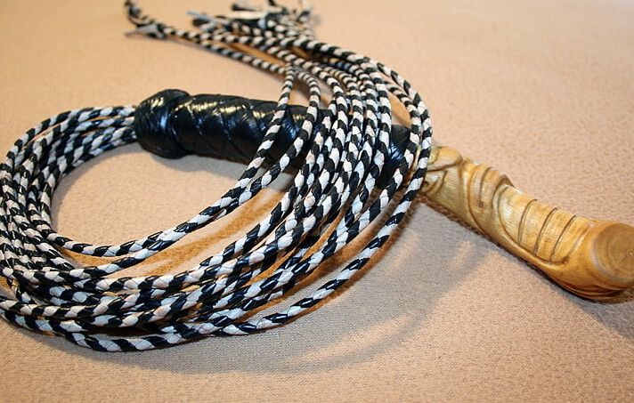 Tigers Eye. -tail teaser