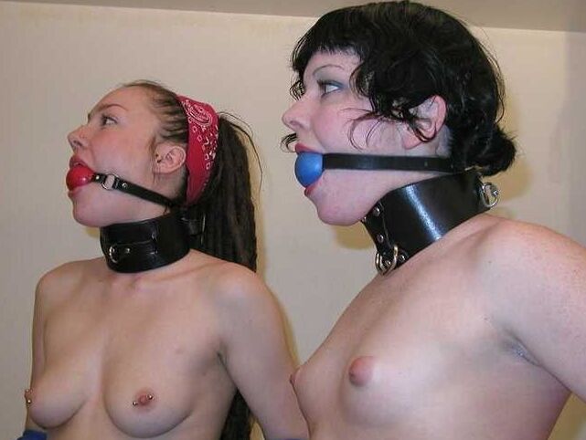 high collar
