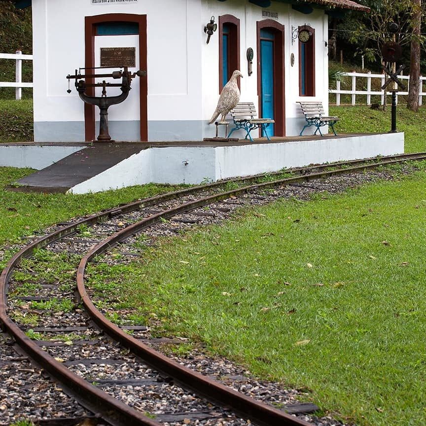 Olha o Trem