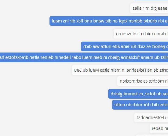 Neuer Chat mit der alten Fotze