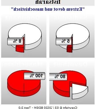 BDSM-Test