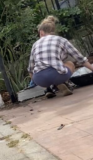 Random BBW and Pawg Asses Young and Mature Thick Milf Gilf