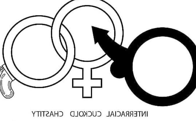 Ideal Wife