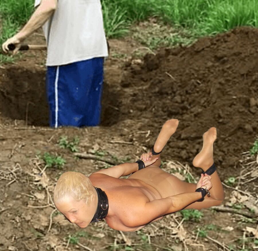 Pig in Peril Manips