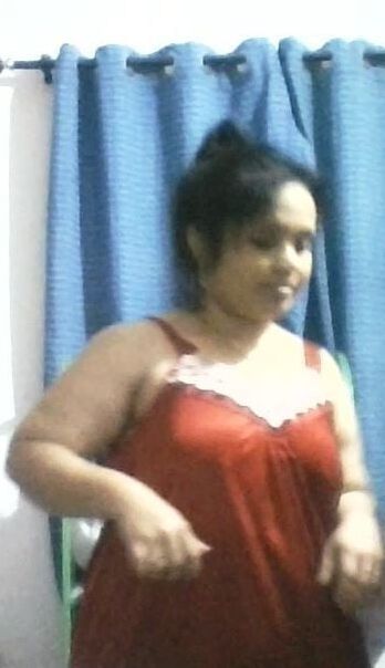 Bengali Short and Cubby Cousin