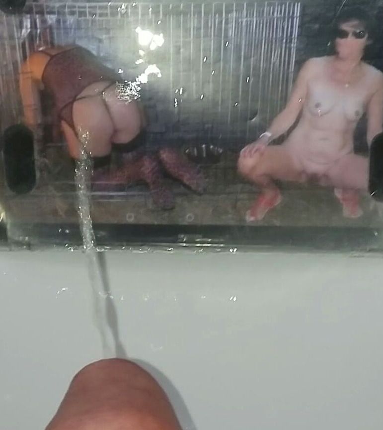 Fycusdore and Lionx Piss Tribute Photos