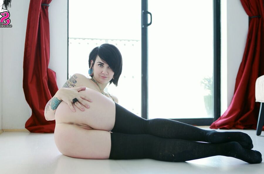 SG - Quinne - Amorous
