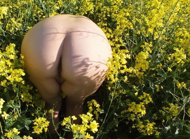Big &amp; Sexy Butts