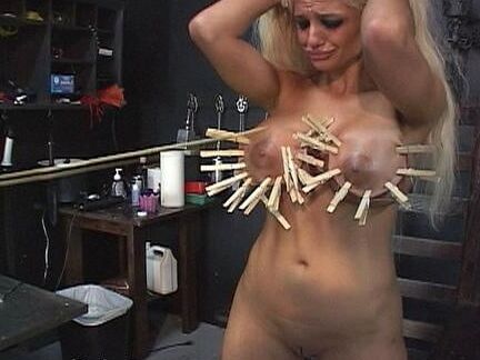 Assorted BDSM