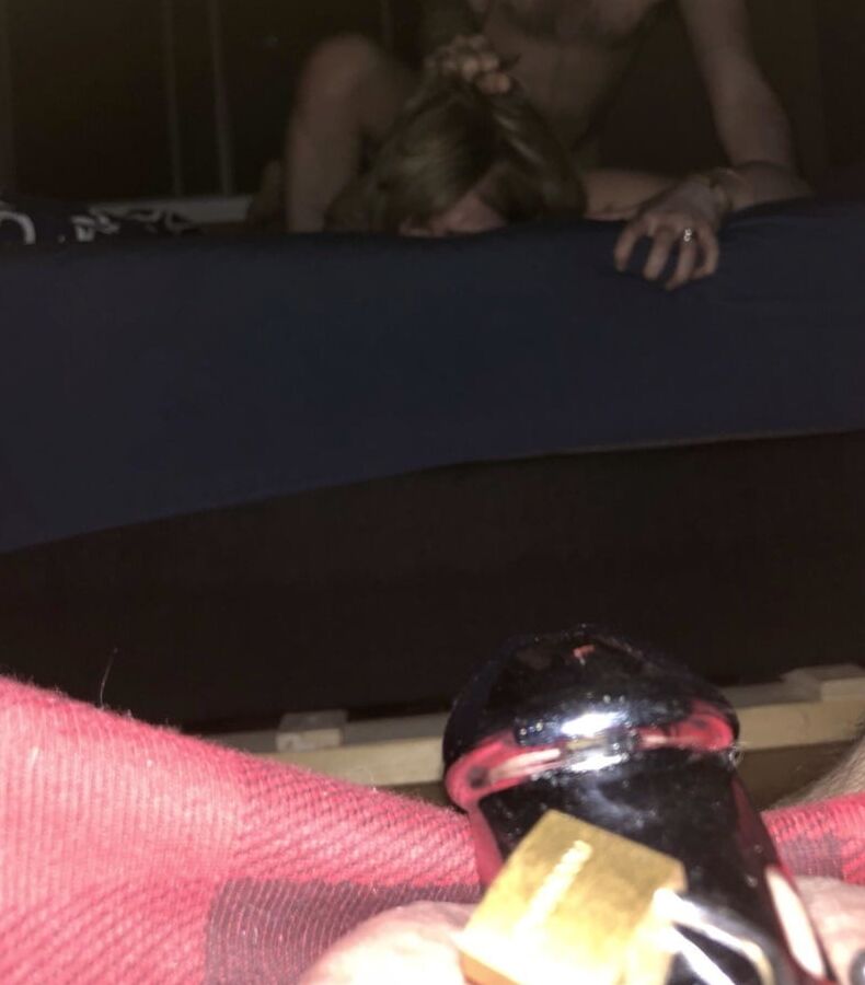 Caged Cuckold, Wife, and Bull