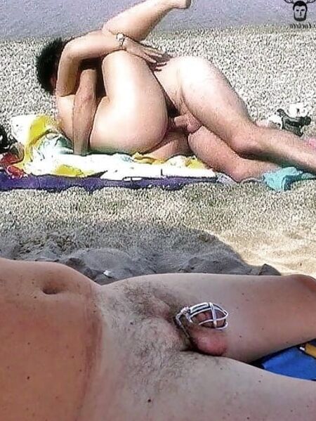 Caged Cuckold, Wife, and Bull