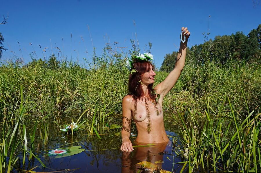 In pond with waterflowers