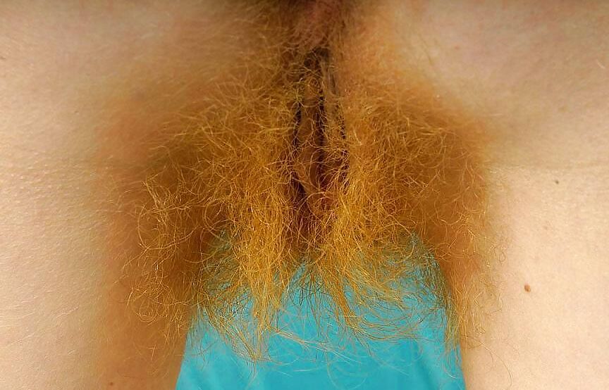 do you also like hairy ladies? I interested ! I DO !