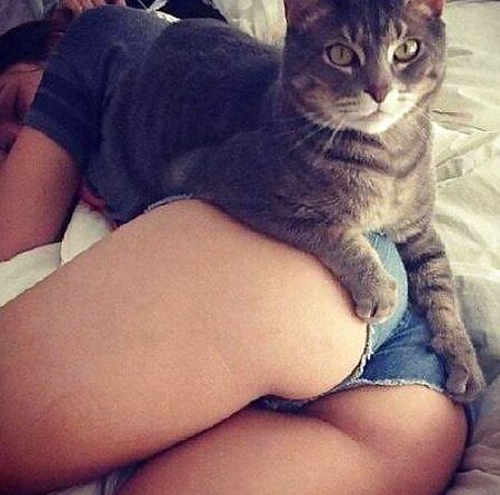 Top Pussy To Clean But Which One