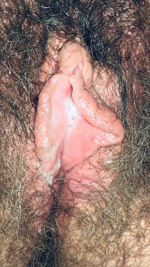 MA FEMME CHATTE POILU A QUATRE PATTES