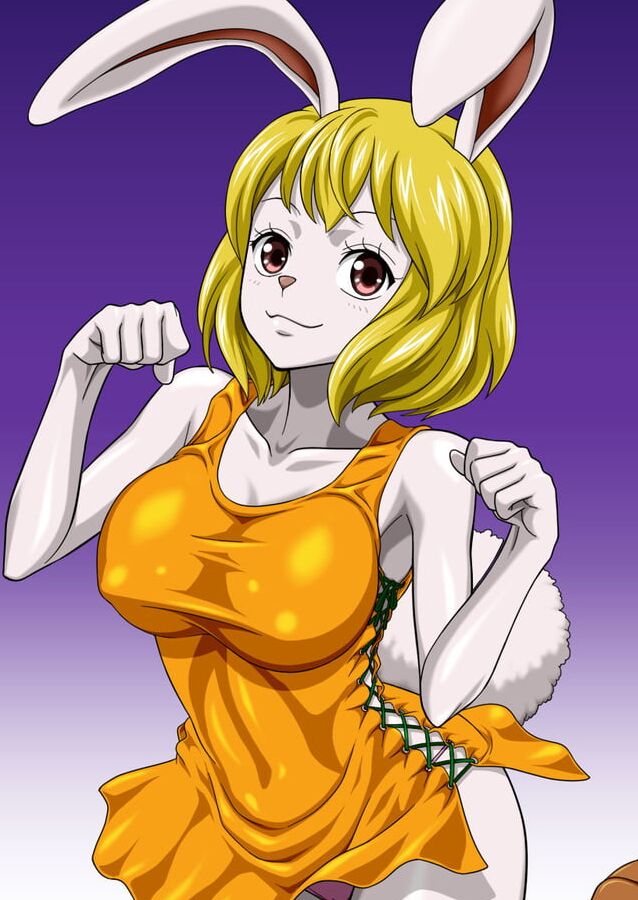 Carrot One Piece (Nel-Zel Formula)