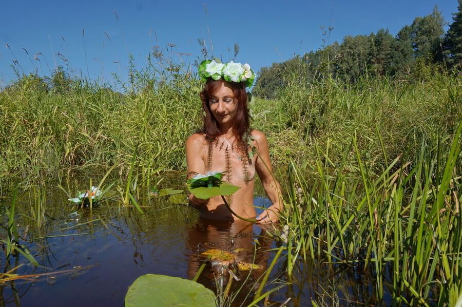In pond with waterflowers
