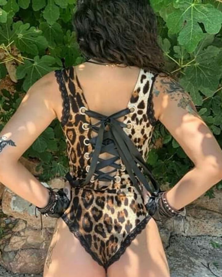Divi Cano