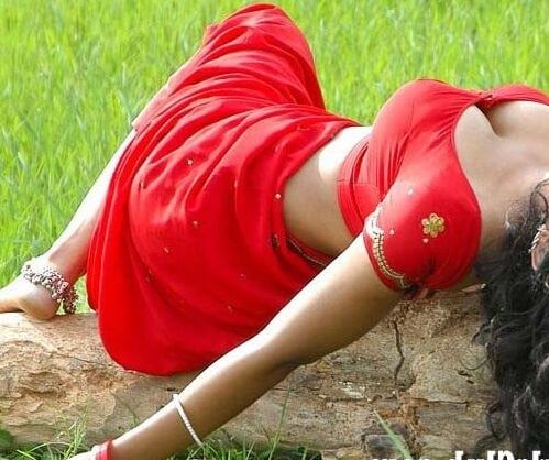 sexy Indian women in hot saree
