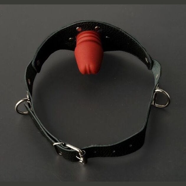BDSM gags