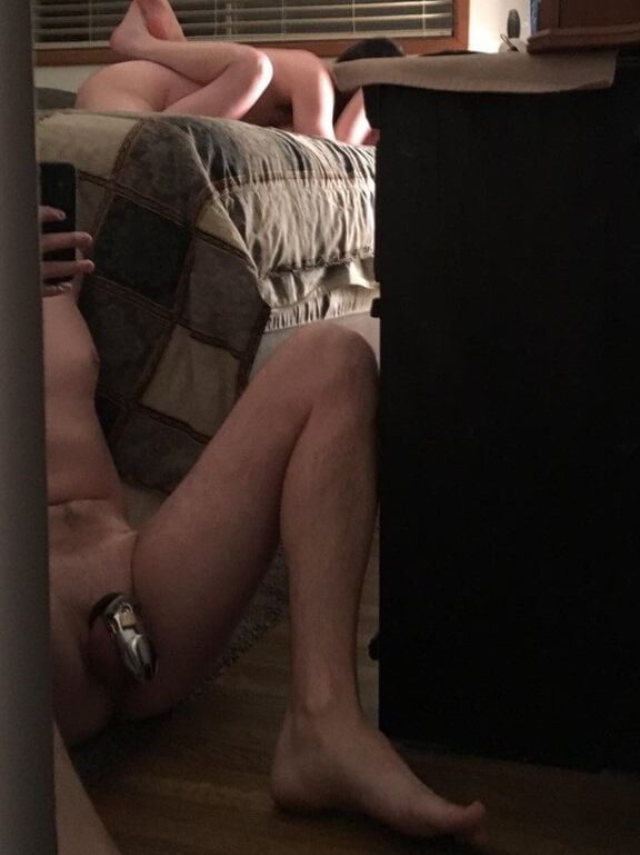 Caged Cuckold, Wife, and Bull