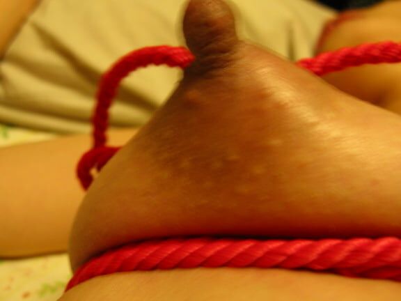 Japanese Girl - tsumayoji (anal)