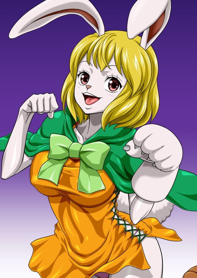 Carrot One Piece (Nel-Zel Formula)