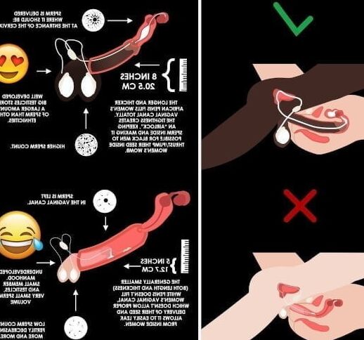 Black sperm insemination