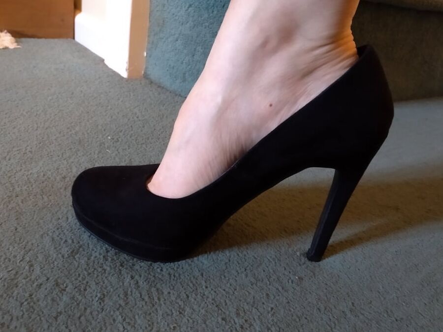 Next Door Cougar