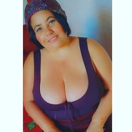 gina fontelli