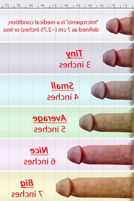 Cocks Ahoy!! Uncut and Cut