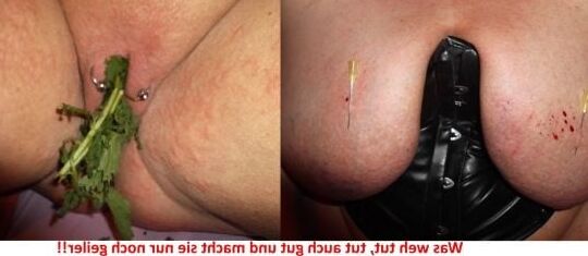 gummiloses fettes schwein