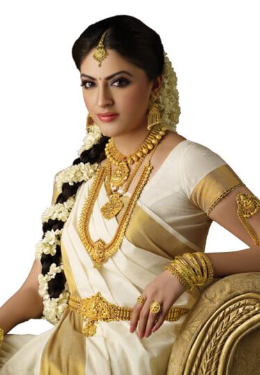 Indian Wedding Saree