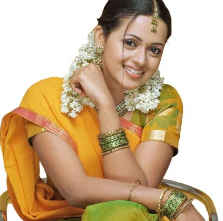 Indian Wedding Saree