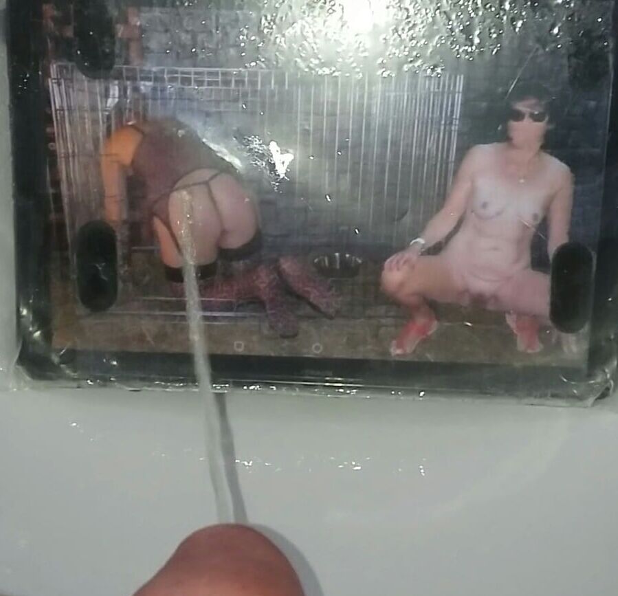 Fycusdore and Lionx Piss Tribute Photos
