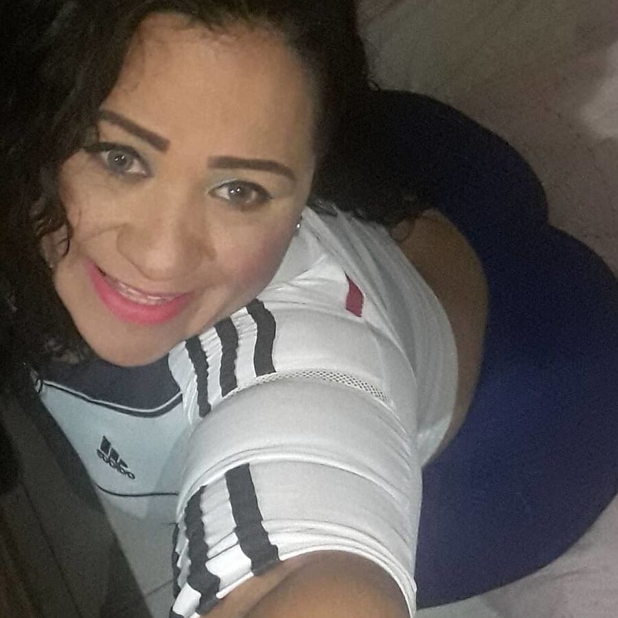 Cerdas porno