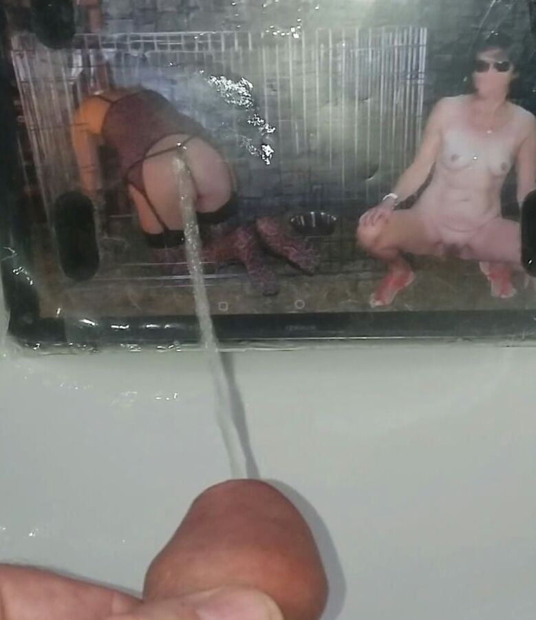Fycusdore and Lionx Piss Tribute Photos