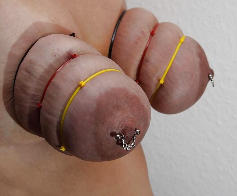 Assorted BDSM