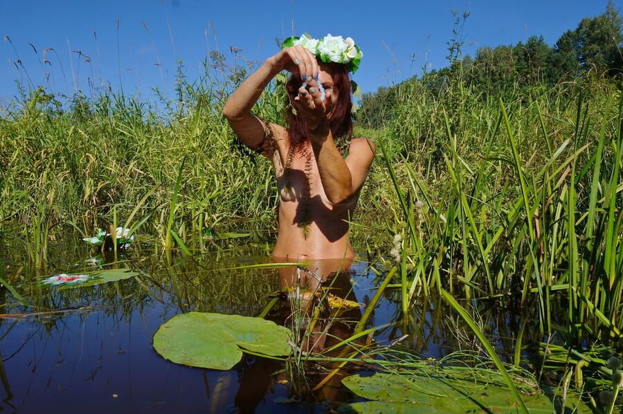 In pond with waterflowers