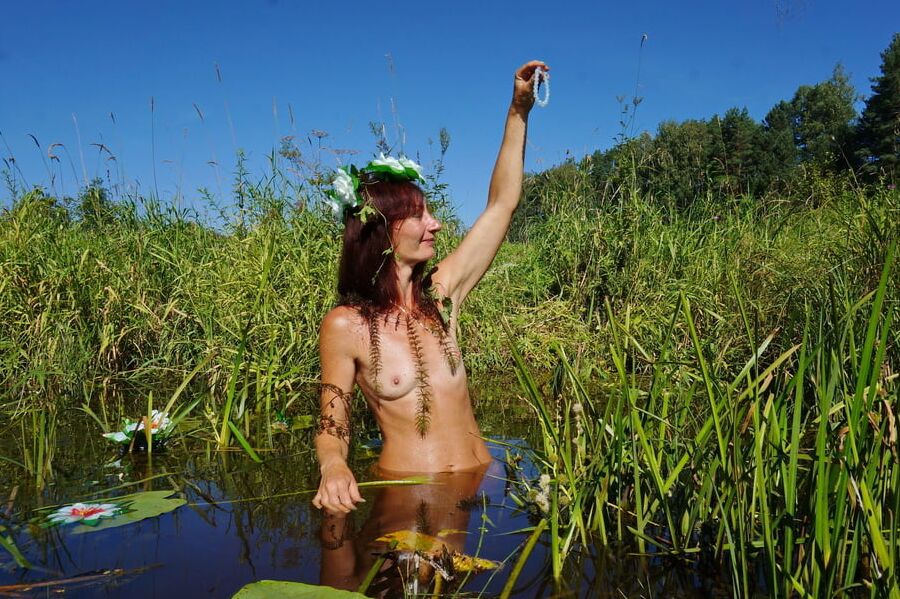 In pond with waterflowers