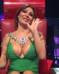 Ceca raznatovic za mog kolegu