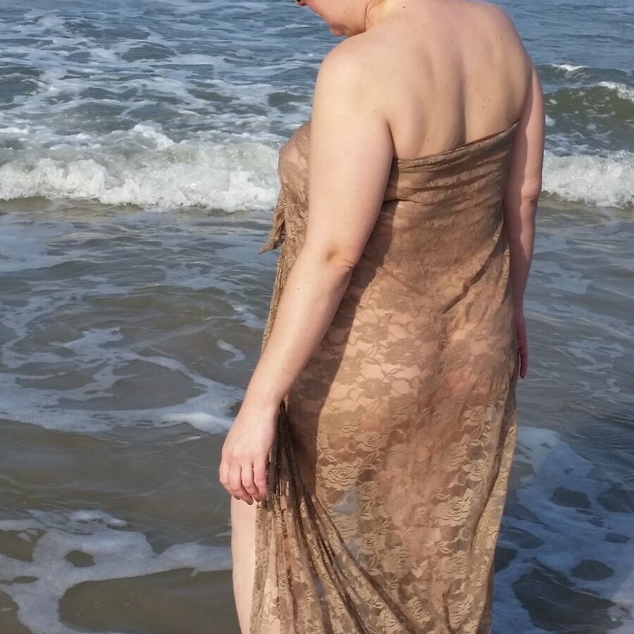 Beauty on the shore
