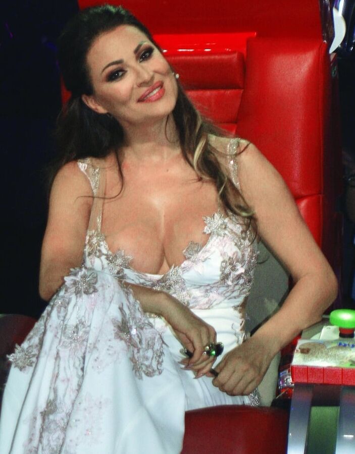 Ceca raznatovic za mog kolegu