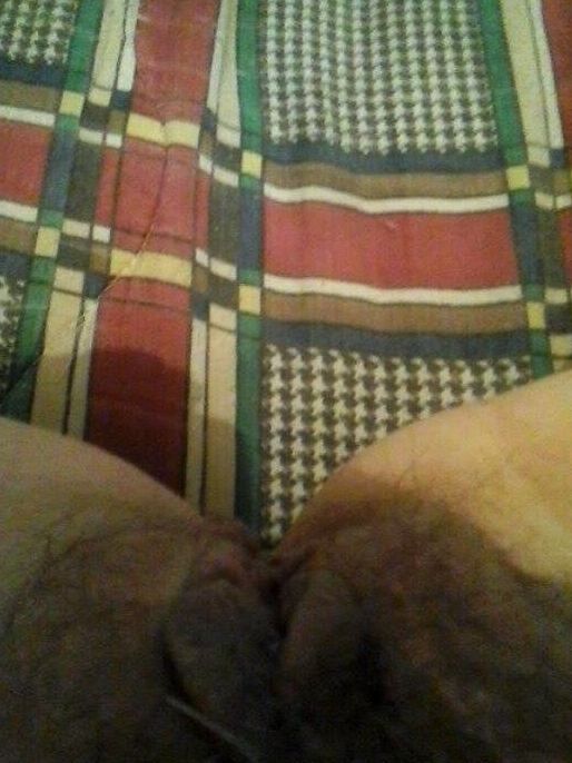 tuga porca
