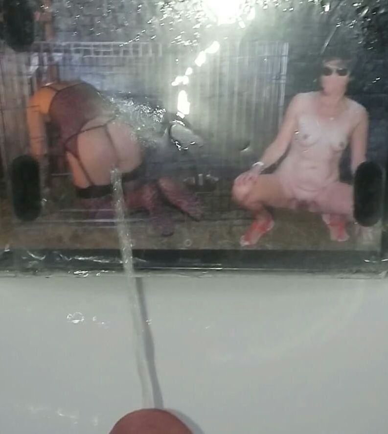 Fycusdore and Lionx Piss Tribute Photos