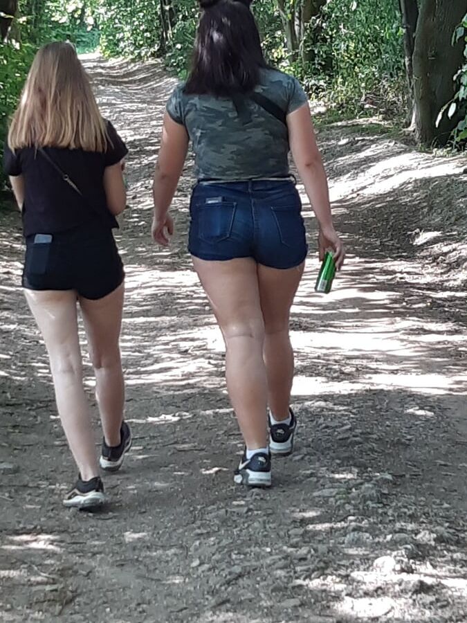 Afternoon walking in the wood